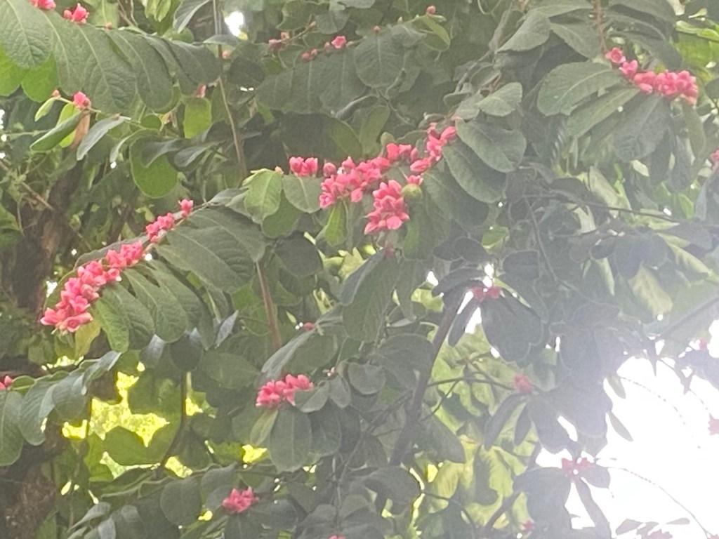 Le souffle du&nbsp;matin